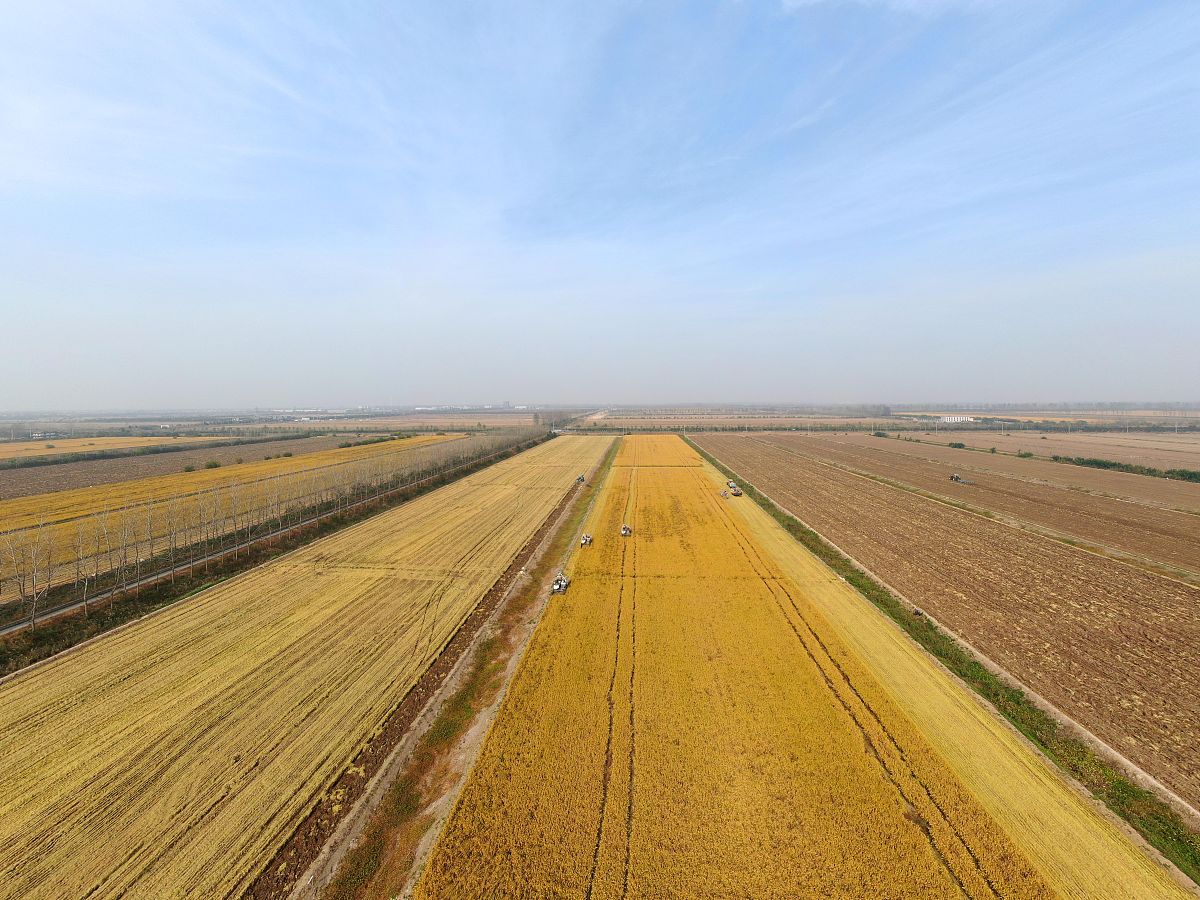 AGRICULTURE-BASEL期刊研究范围及投稿指南