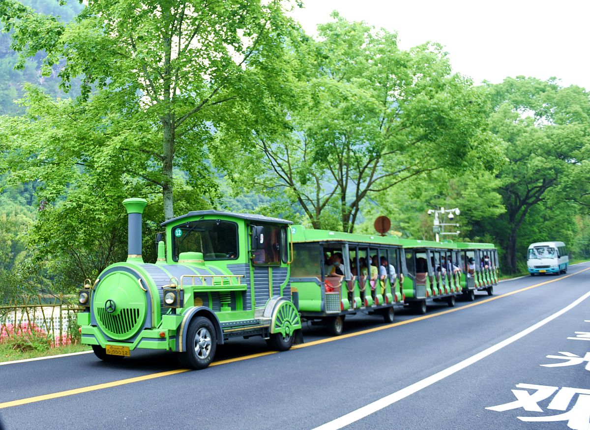 观光车定价揭秘：成本、市场、需求全方位解析