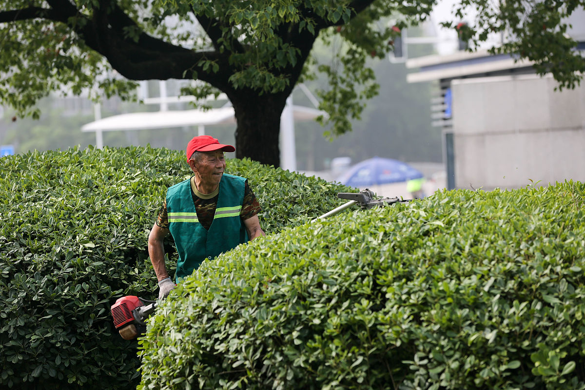 贵阳市女子职业学校园林绿化专业可以选择哪些就业方向怎么样