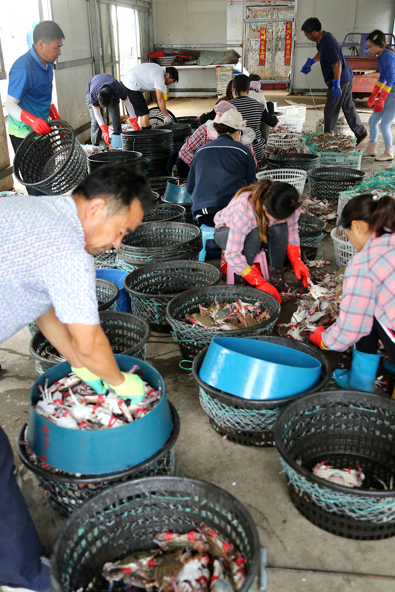 乌雷小学及北部湾大学河道渔业资源调查实践报告