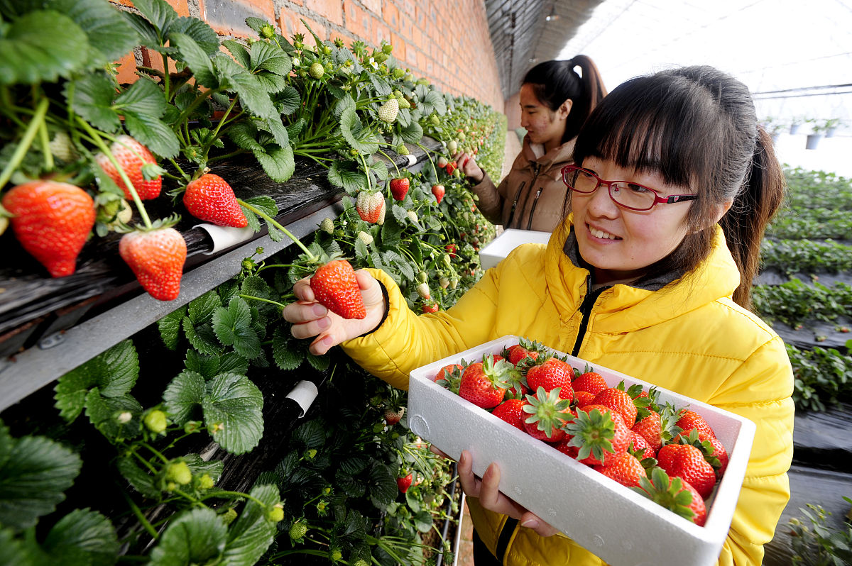 辽宁省农业技术学校动物药学专业2022年就业前景怎么样？