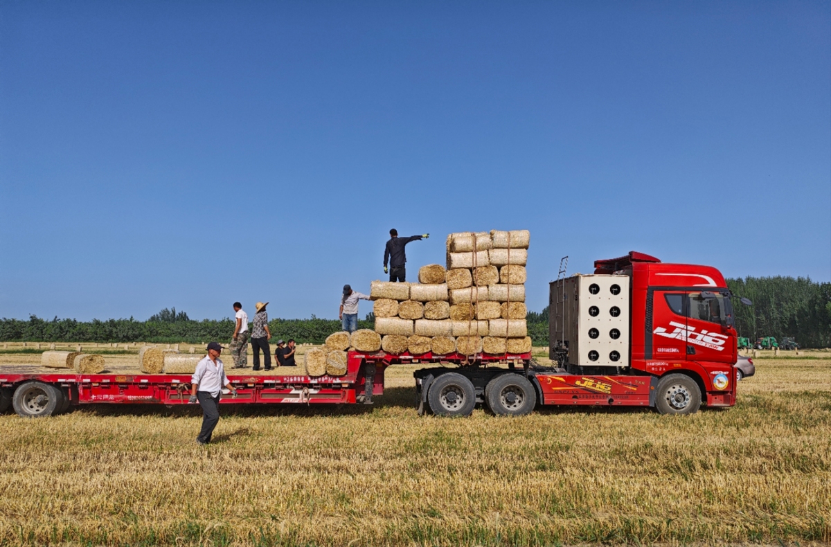 粮油饲料加工技术专业前景分析：行业发展趋势及就业方向