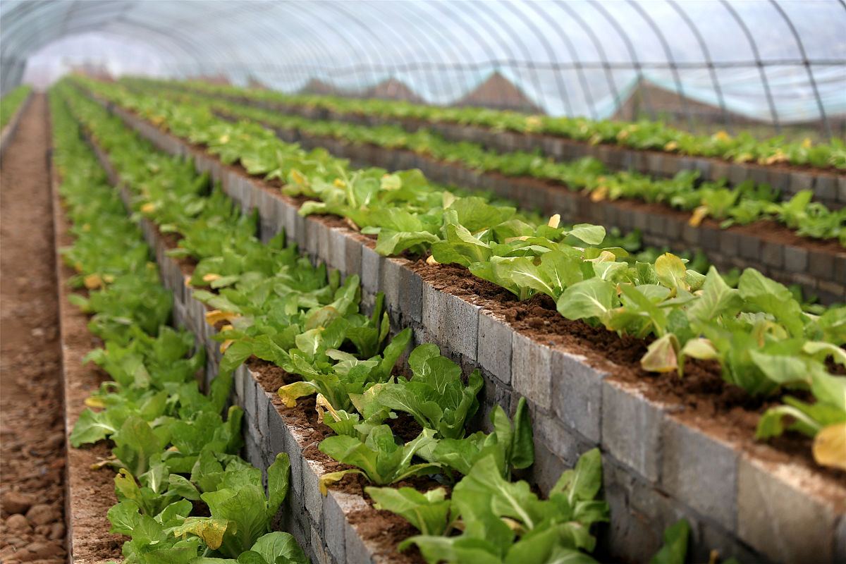 2019年安顺学院设施农业科学与工程本科专业介