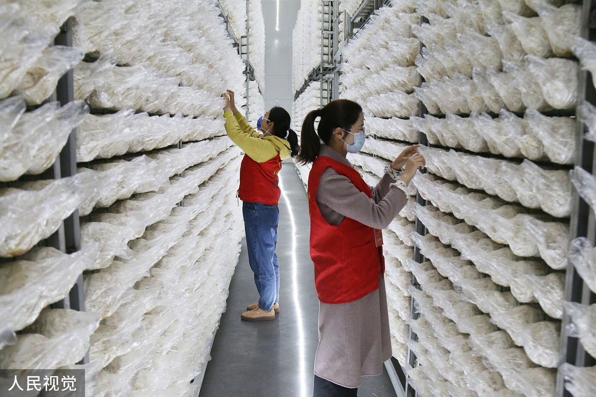 连云港生物工程中等专业学校2022年招生简章