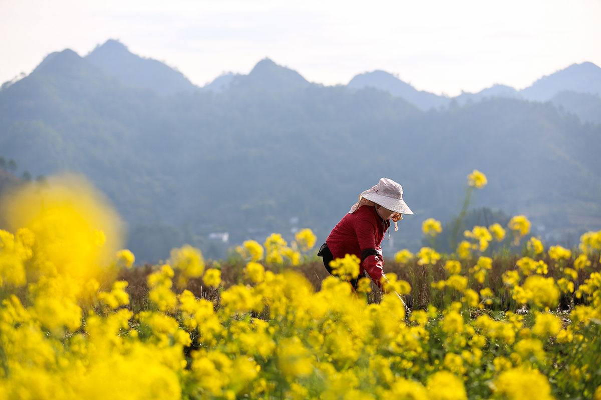 贵州护理学校毕业工资待遇及就业前景分析