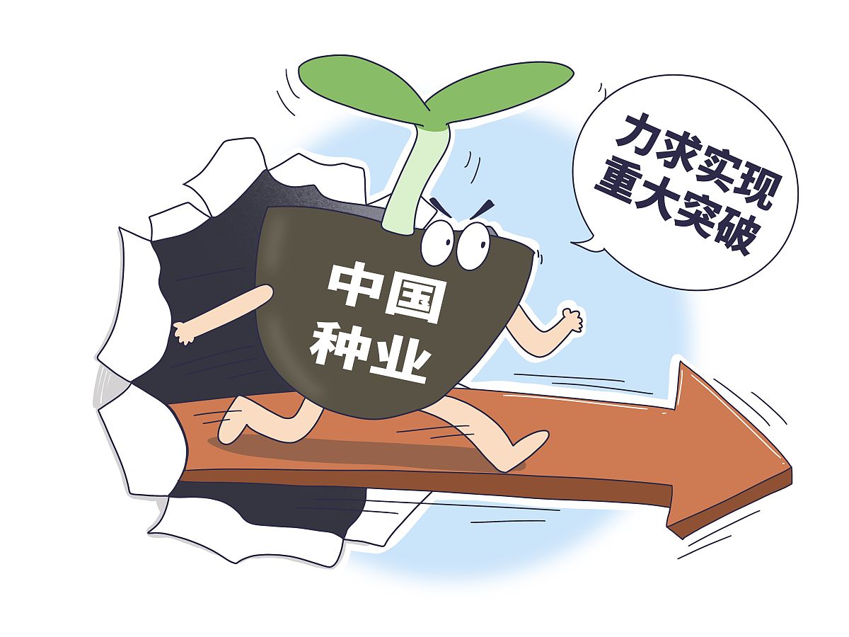 中国蔬菜种业发展现状 要求：1000字的论述、有对比、有数据