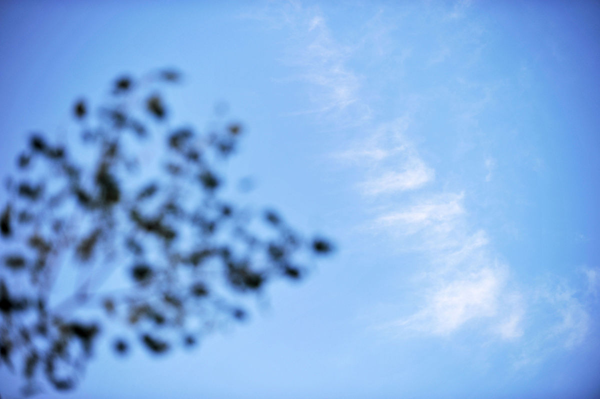 泉州市民必备！紧急情况如何求助？