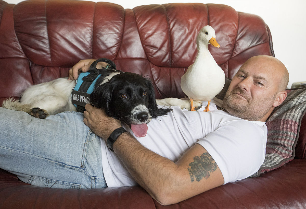 PTSD是什么？创伤后应激障碍的症状、原因和治疗方法