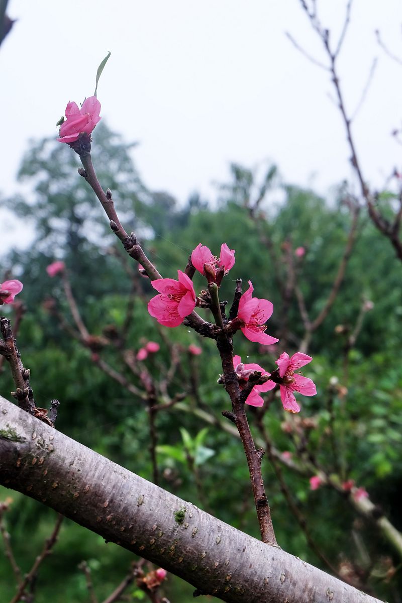 湖南外国语职业学院酒店管理专业怎么样