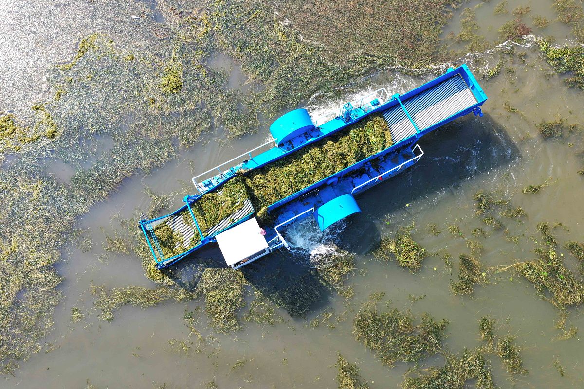 蓝藻打捞船吸头专利及生产公司十个最好是中国的