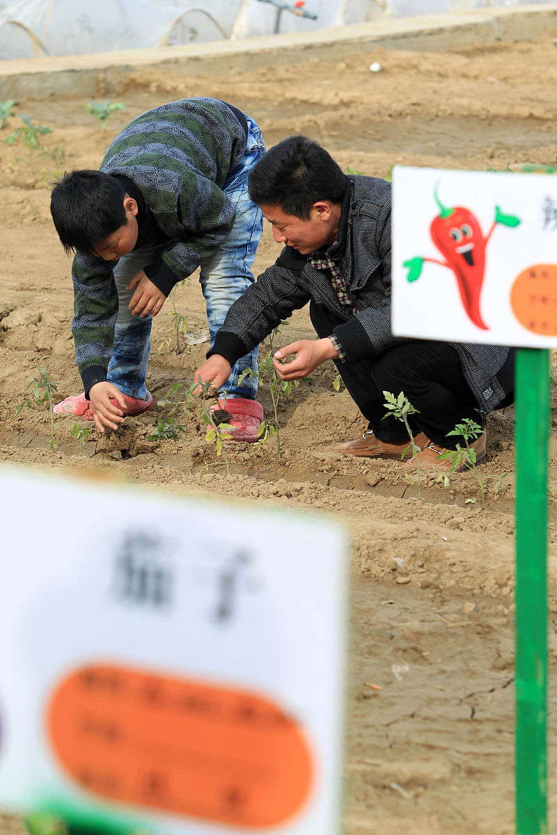 爸爸的童年趣事 写一篇300字小学作文