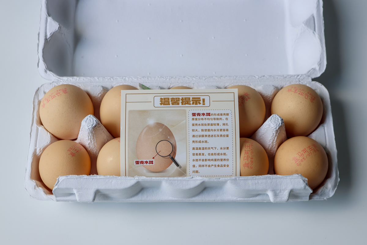 鸡蛋可数吗？详细解析鸡蛋数量统计方法