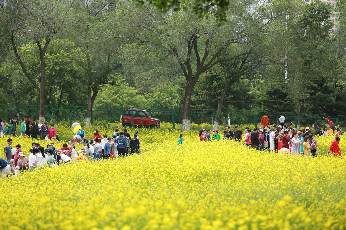 心心念念的春游给出下一句