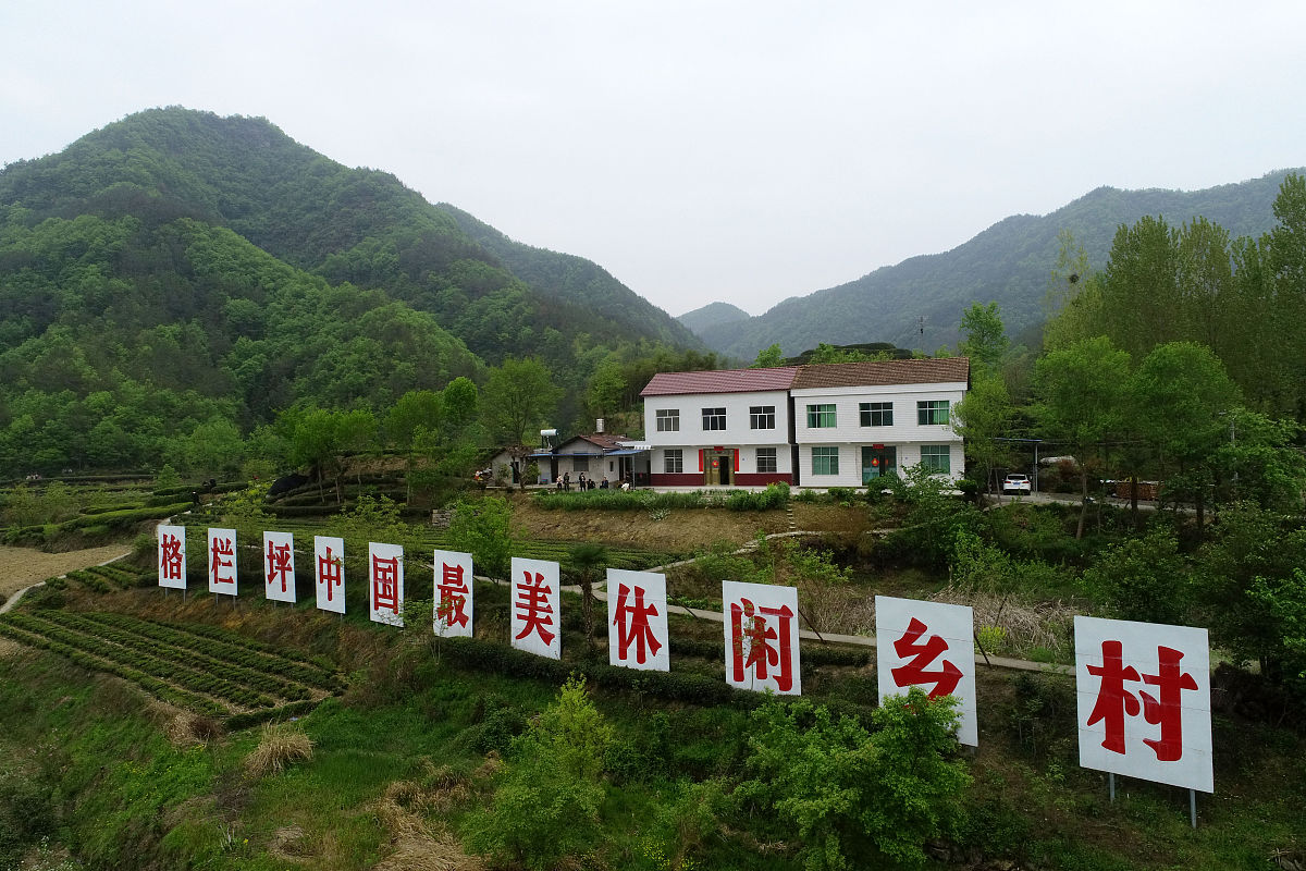 石堰坪村回乡创业抖音三农短视频口播稿