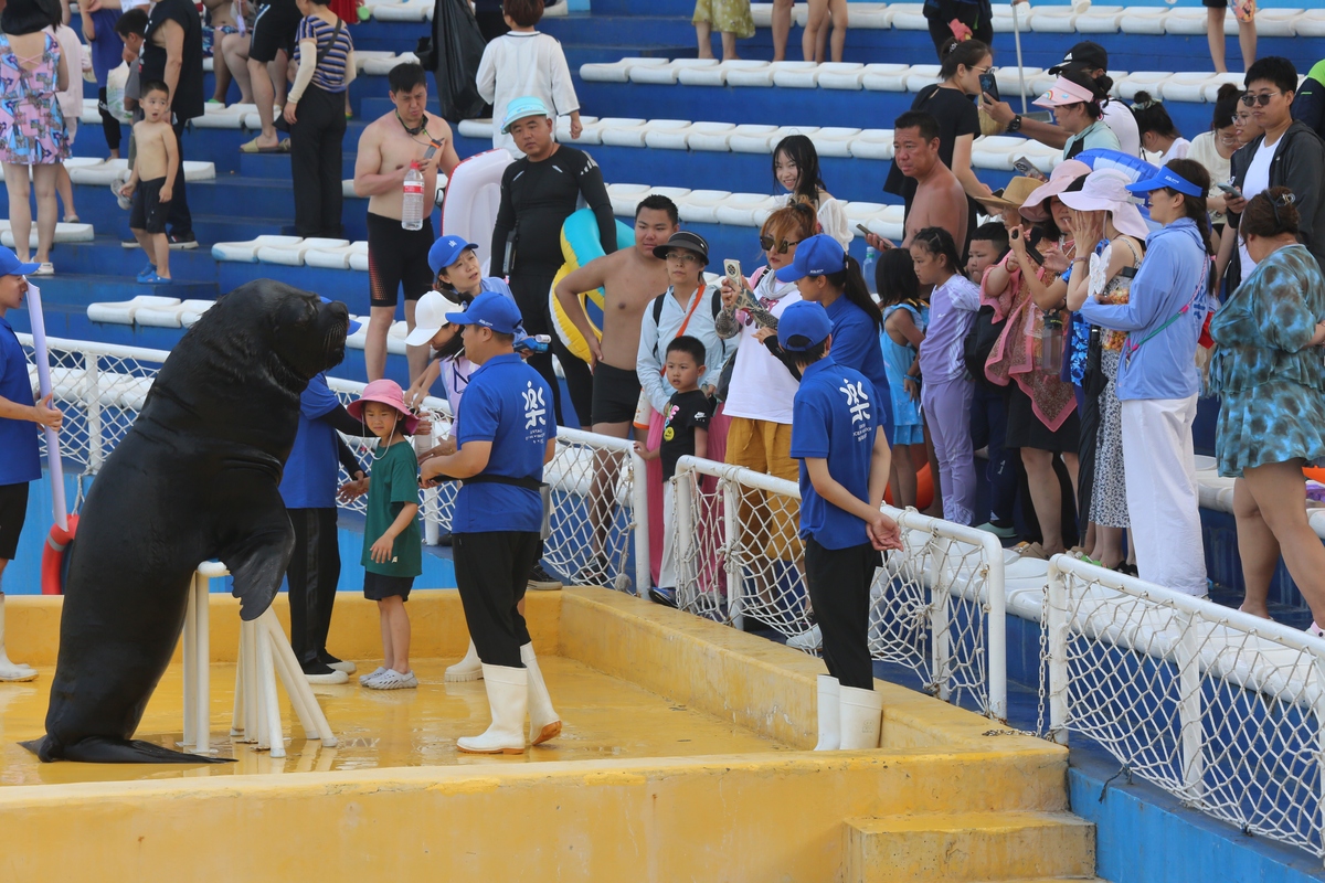 河北档案数字化公司哪家好？- 5家精选公司推荐