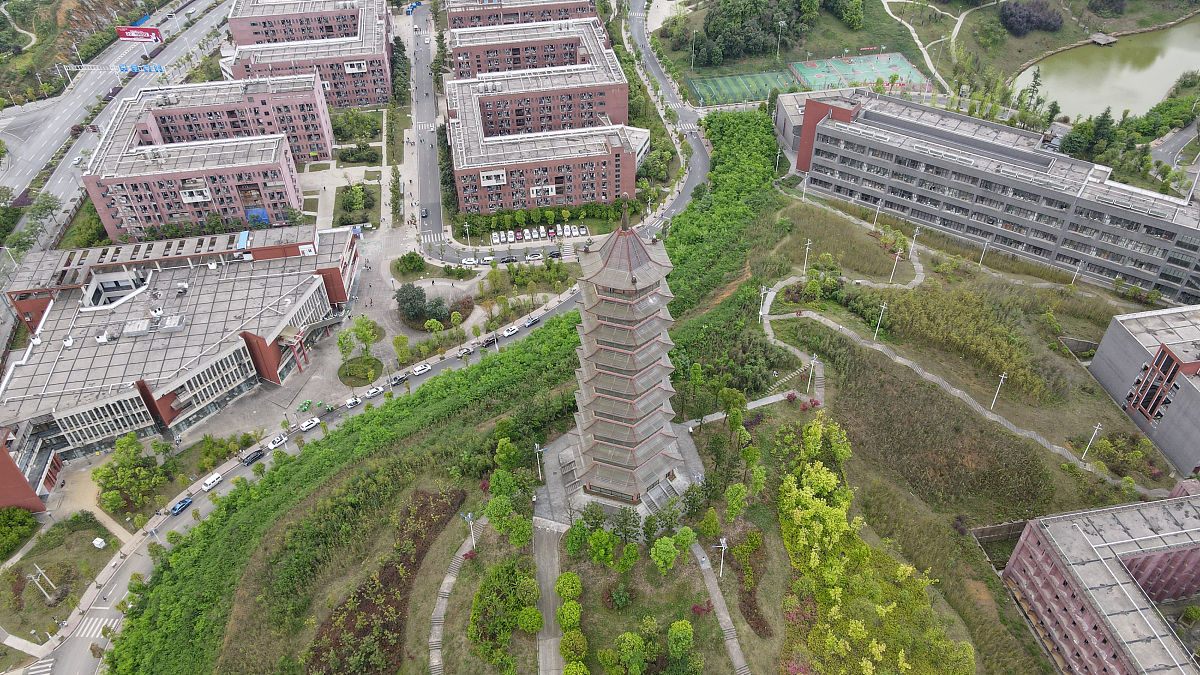 闽南师范大学幼师专业就业前景怎么样？|深度解读