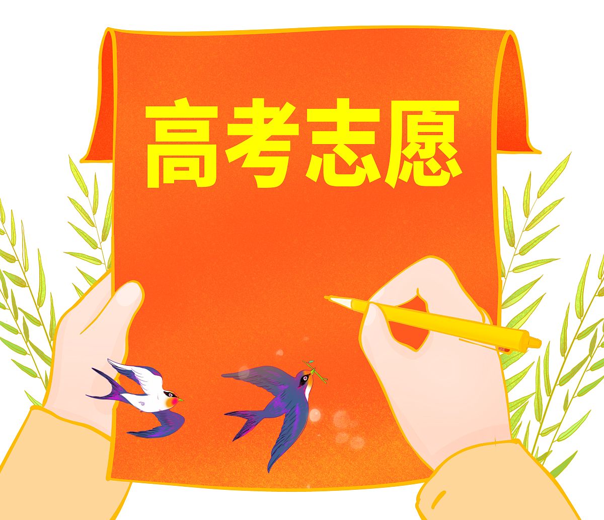 漫画:高考志愿填报