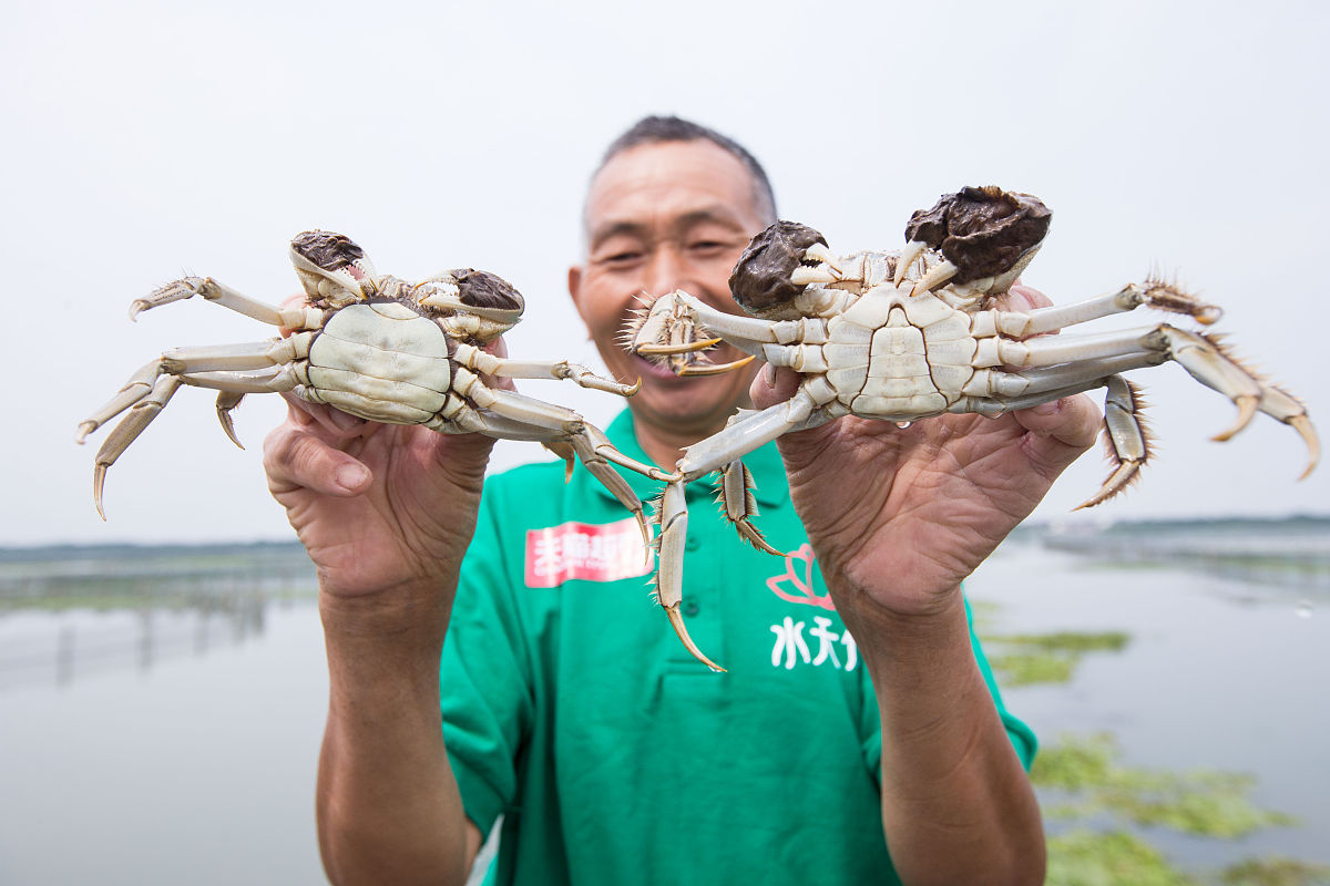 4月常熟旅游攻略：阳澄湖大闸蟹、古镇、高尔夫、校园美景