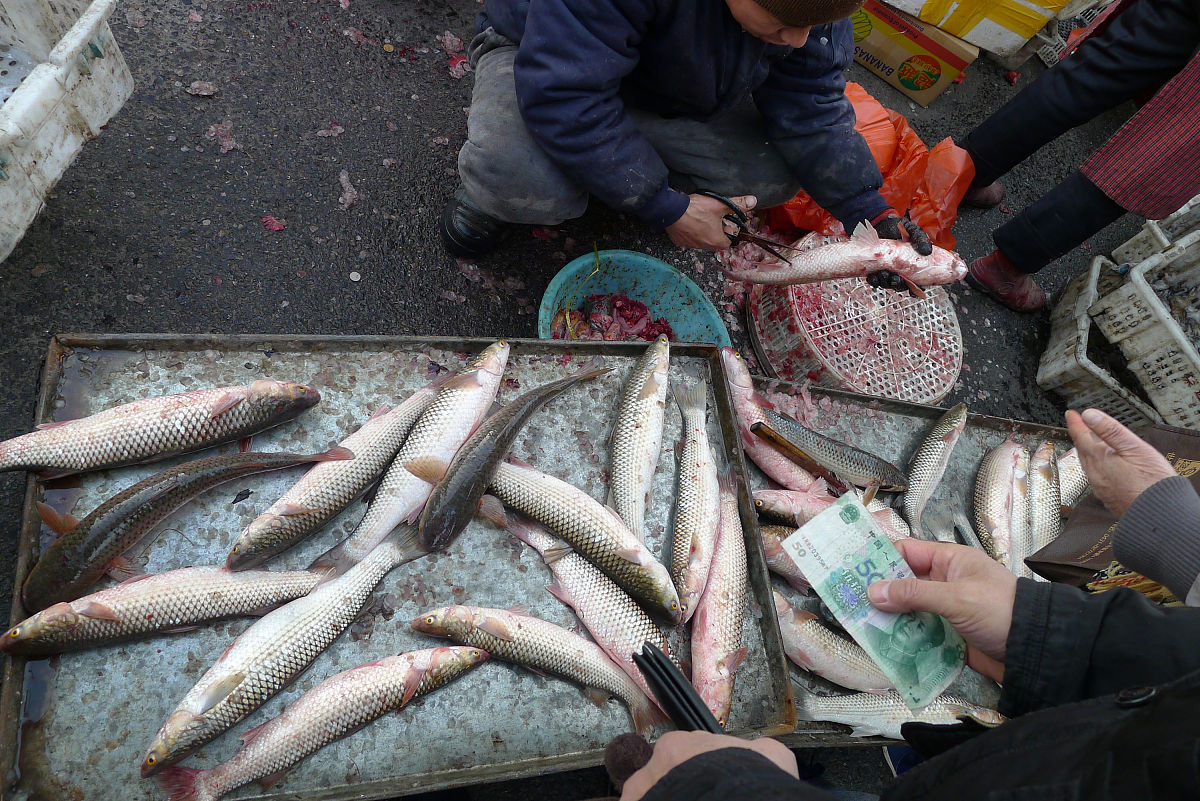 王师傅是卖鱼的一斤鱼进价45元现亏本大甩卖顾客 问35元买了一公斤给了王师傅100元假钱王师傅没零钱于是找邻居换了100元。事后邻居存钱过 答程中发现钱是假的被银行没收了王师 版傅又赔了邻居100元请问王师傅一 权共亏了多少