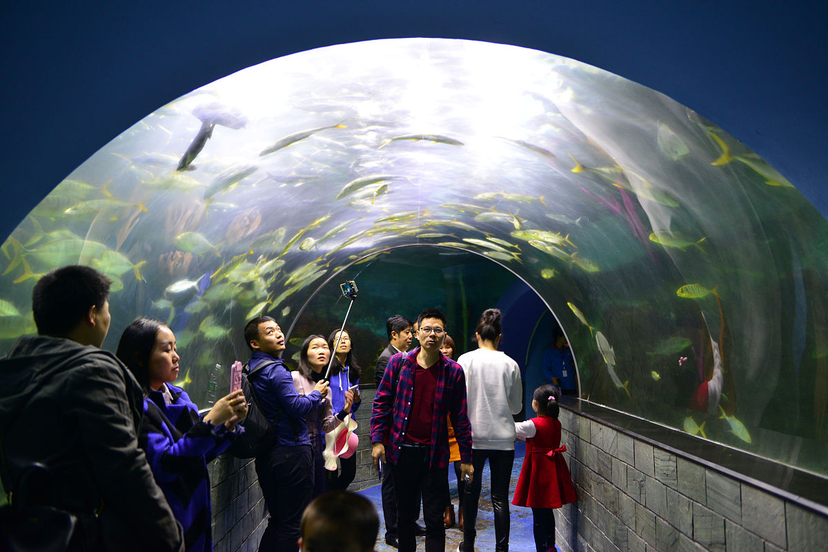独山子海洋馆建设的负面影响：生态、动物福利、经济等问题