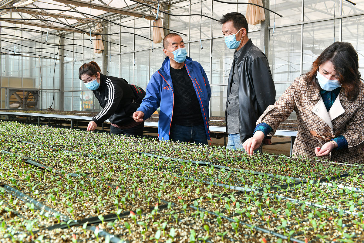 甘肃省农垦中等专业学校五年制大专怎么样 学校正规吗