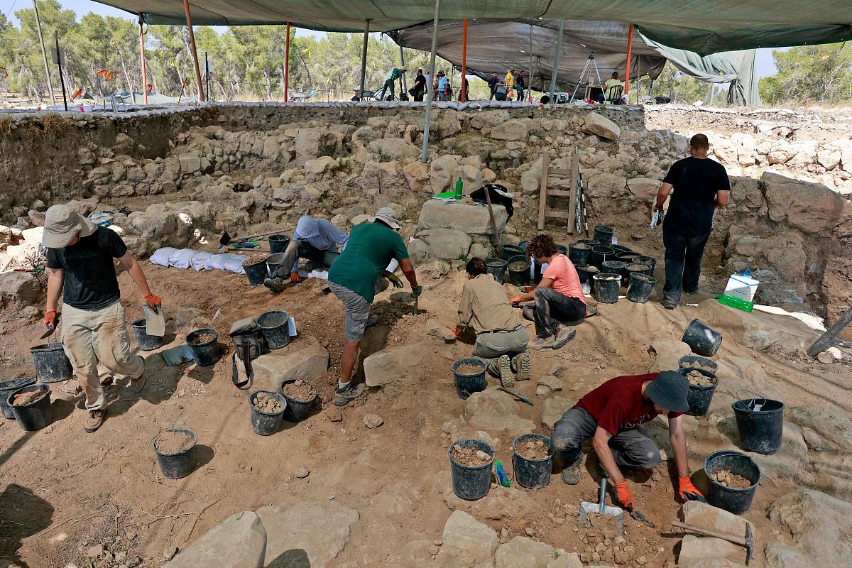 航空学校招生要求