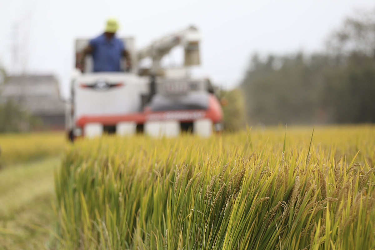 帮圆圆起一个与三农有关系的账号名农圆圆您的提问过于频繁了请歇一会吧农耕圆圆农业圆圆继续