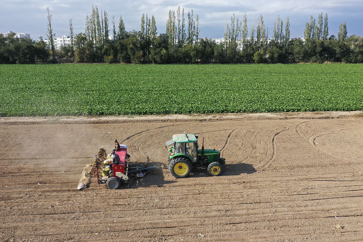请作为科研人员改写以下内容：多梯度盐碱地田间育种与专用机械测试验证场。总投资8000万元已完成投资4000万元。主要开展盐碱地特用的育种机械研发和田间测试工作。