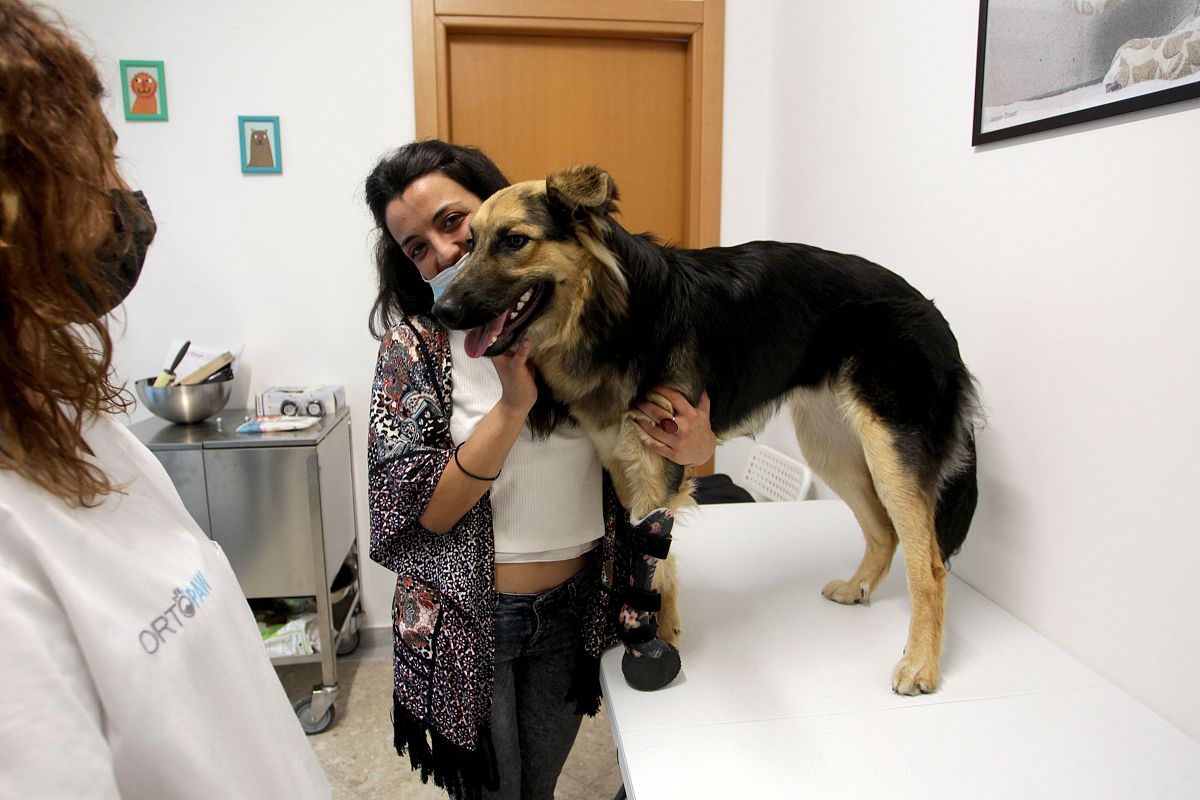 mysql 查询订单表最后一笔记录状态为81的订单