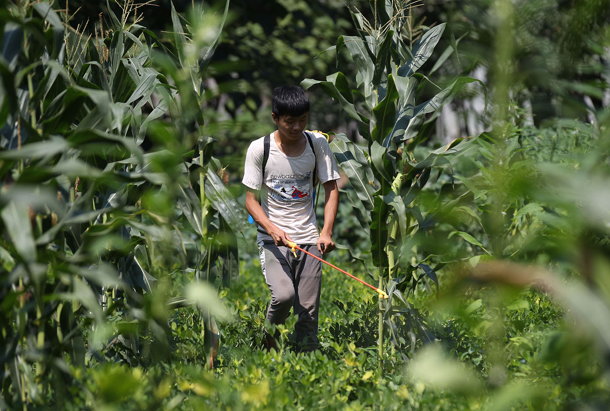 罗田理工中等专业学校2022年热门专业有哪些
