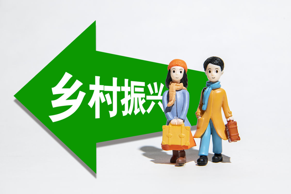 基层自治助力乡村振兴：深化关系，共促发展