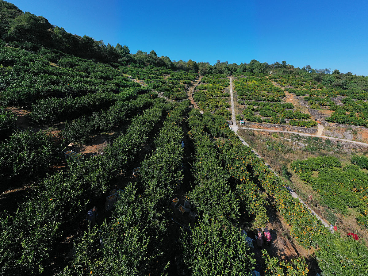 湖北开放职业学院招生专业介绍：涵盖工程技术、信息技术、经济管理等多个领域