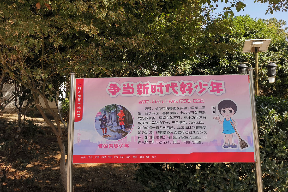 爱国卫生运动活动方案