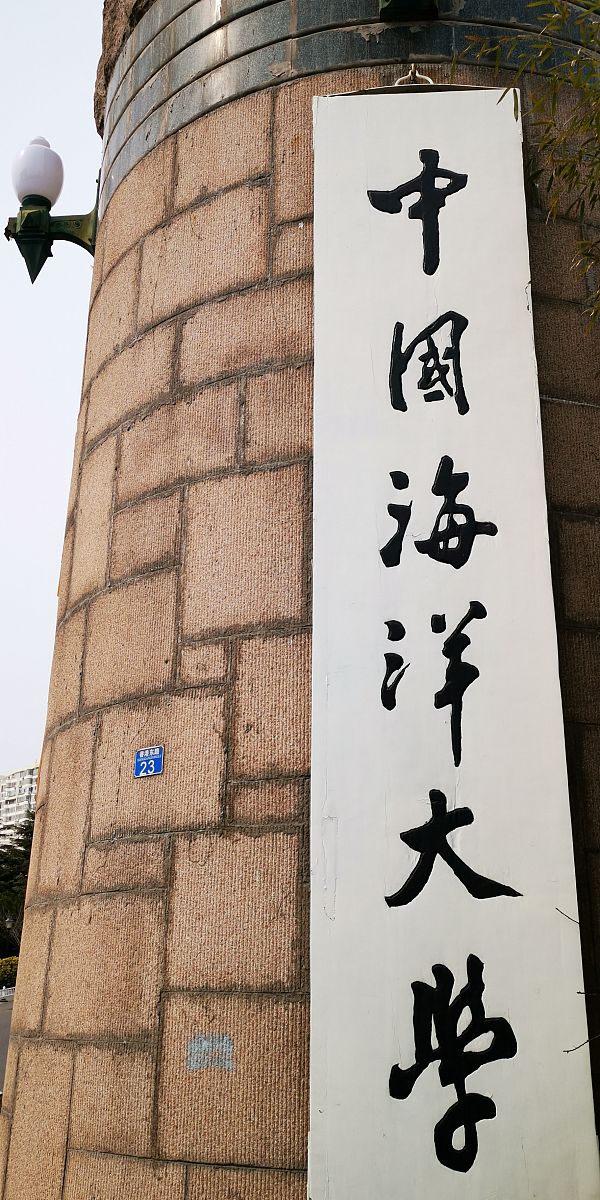 东北大学：立德树人，改革创新，为国家发展贡献力量