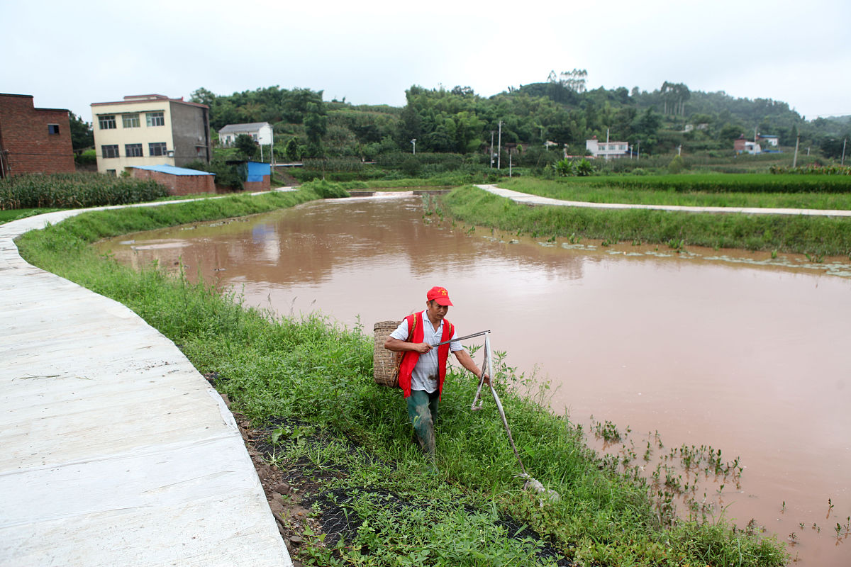 农村环境整治：改善环境，提升生活质量