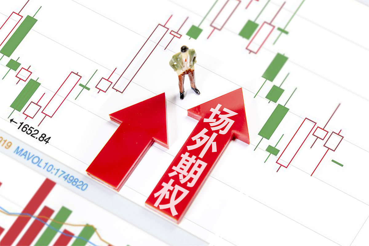 认购期权 vs. 认沽期权: 理解期权交易及市场有效性