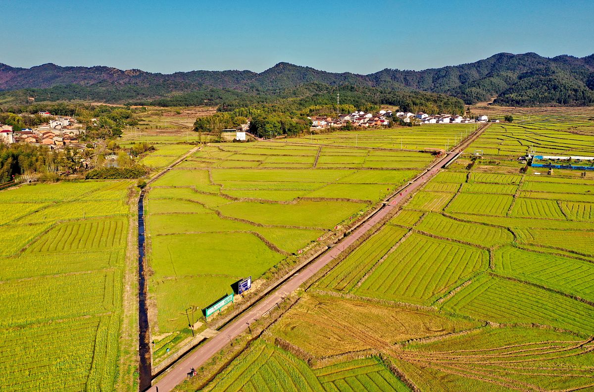攀枝花经贸旅游学校2023年招生专业-旅游管理、酒店管理等