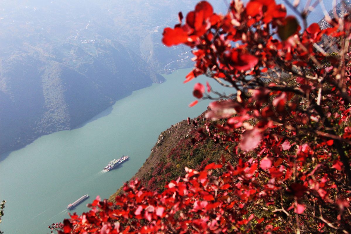 重庆三峡职业学院有什么专业适合女生