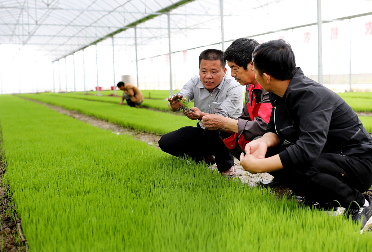 农学专业就业方向有哪些 好找工作吗