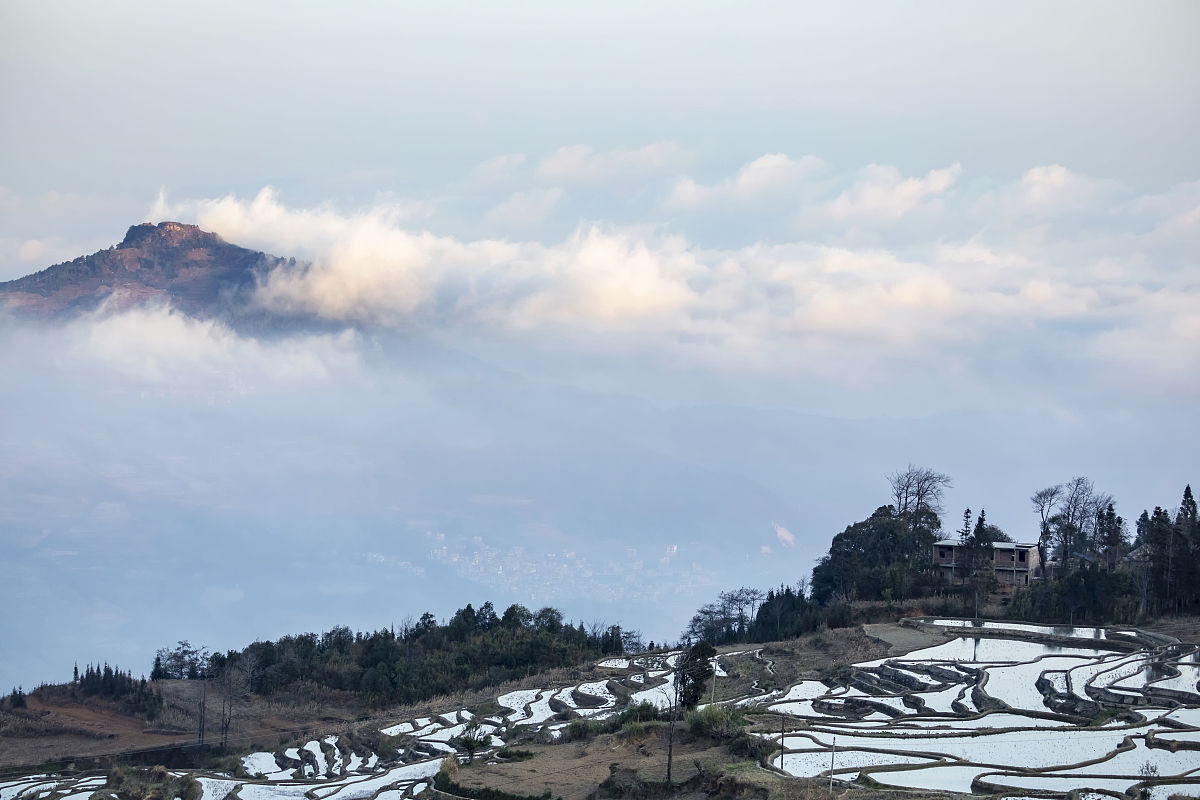 2020年1月24日,云南元阳,爱春蓝梯田晨景.(如若下载使用,请务必署名:
