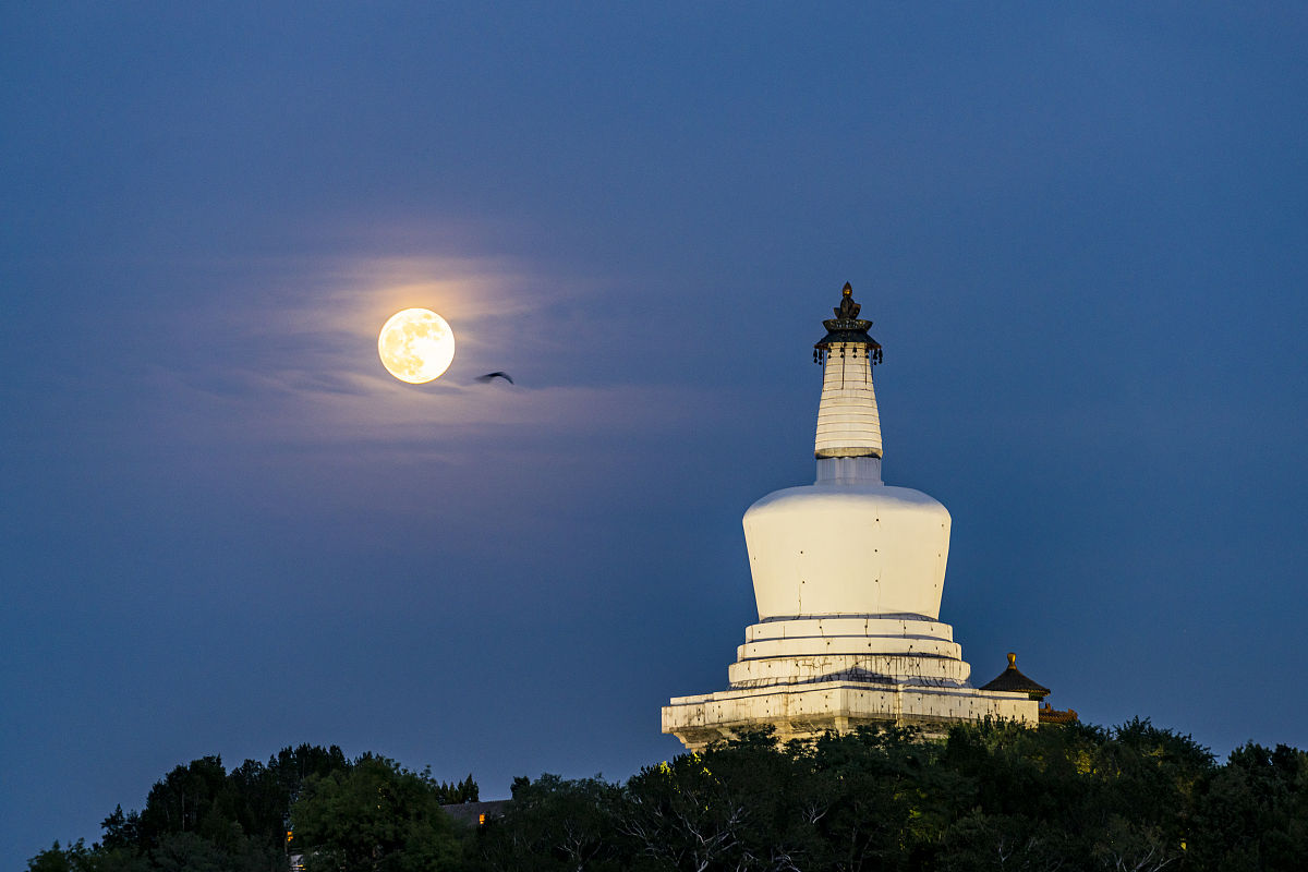 勉县职业教育中心2019招生简章