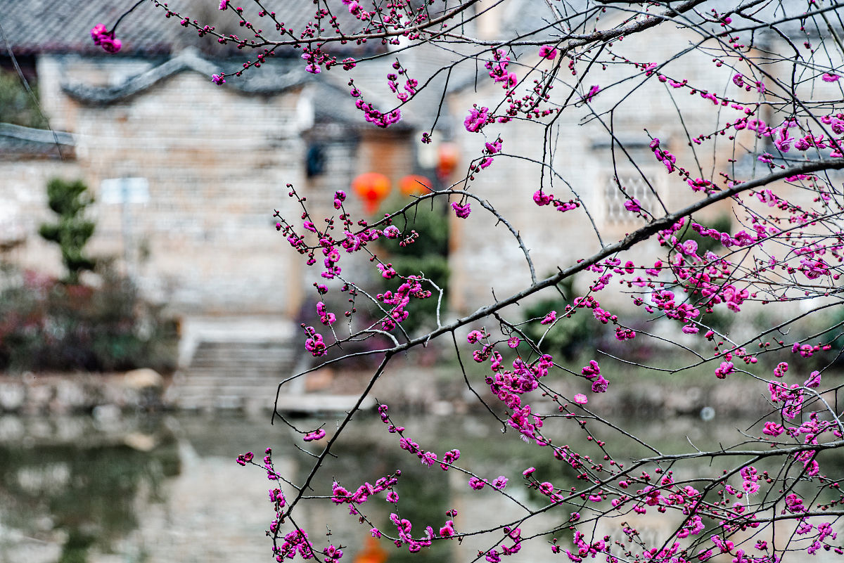 63456写一个藏头诗