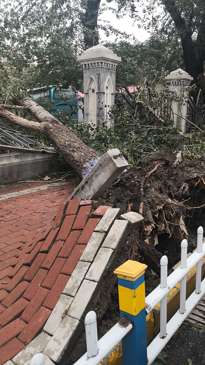 International Journal of Fracture 期刊研究范围 - 断裂力学、表征、建模和控制