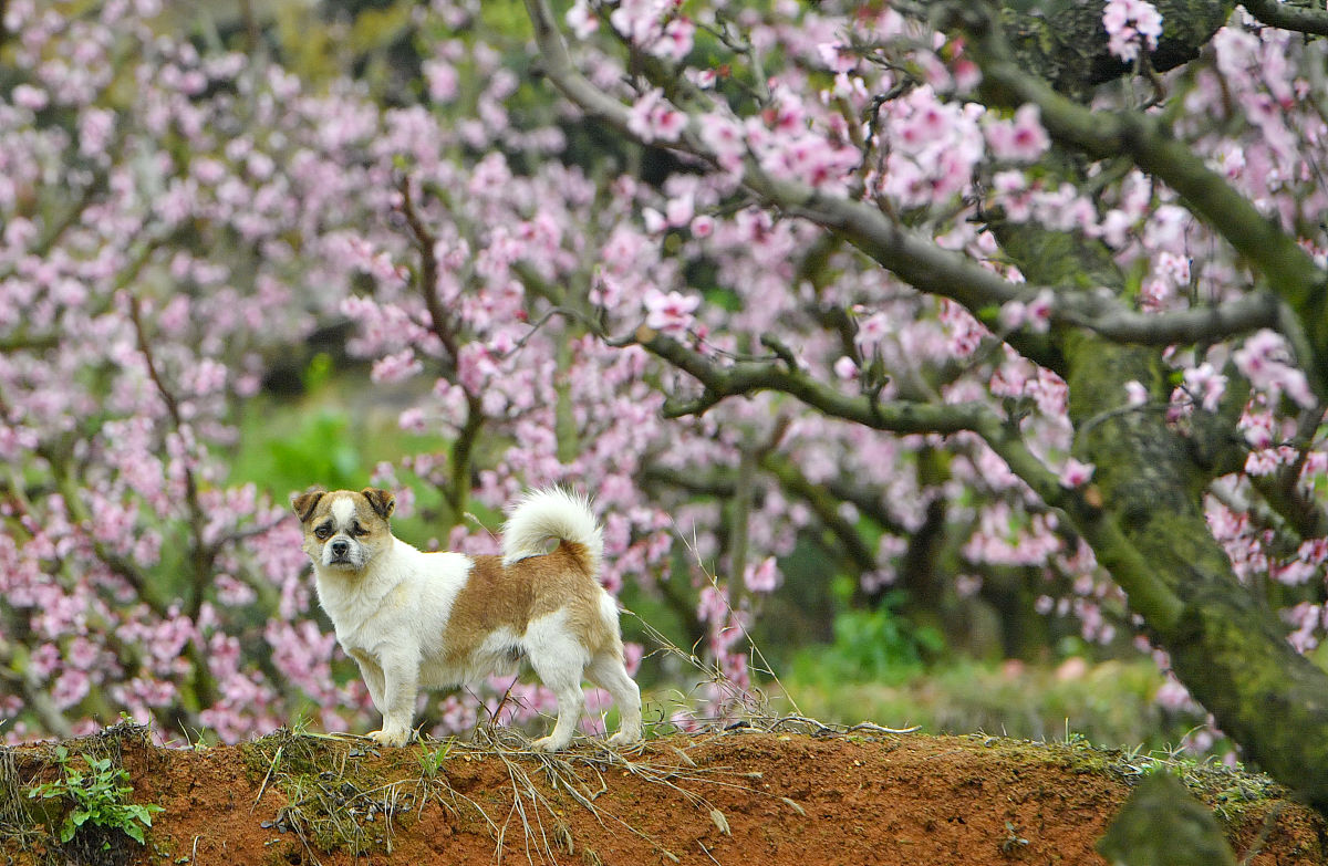 贵州职业技术学院中专部坐几路公交车可以到