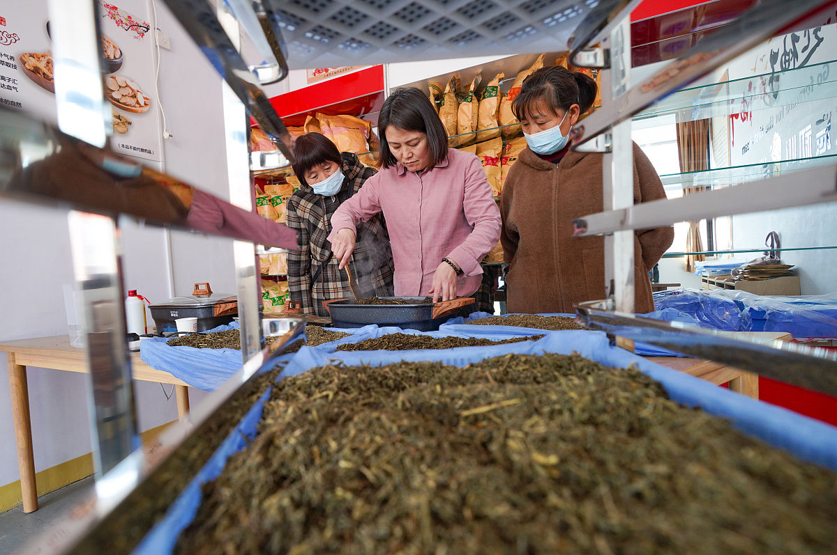 江门中医药学校中药营销专业怎么样？就业前景分析