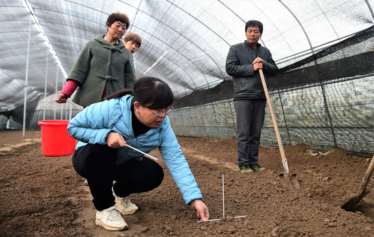 福建生物工程职业技术学院药剂专业五年制：前景分析与就业方向