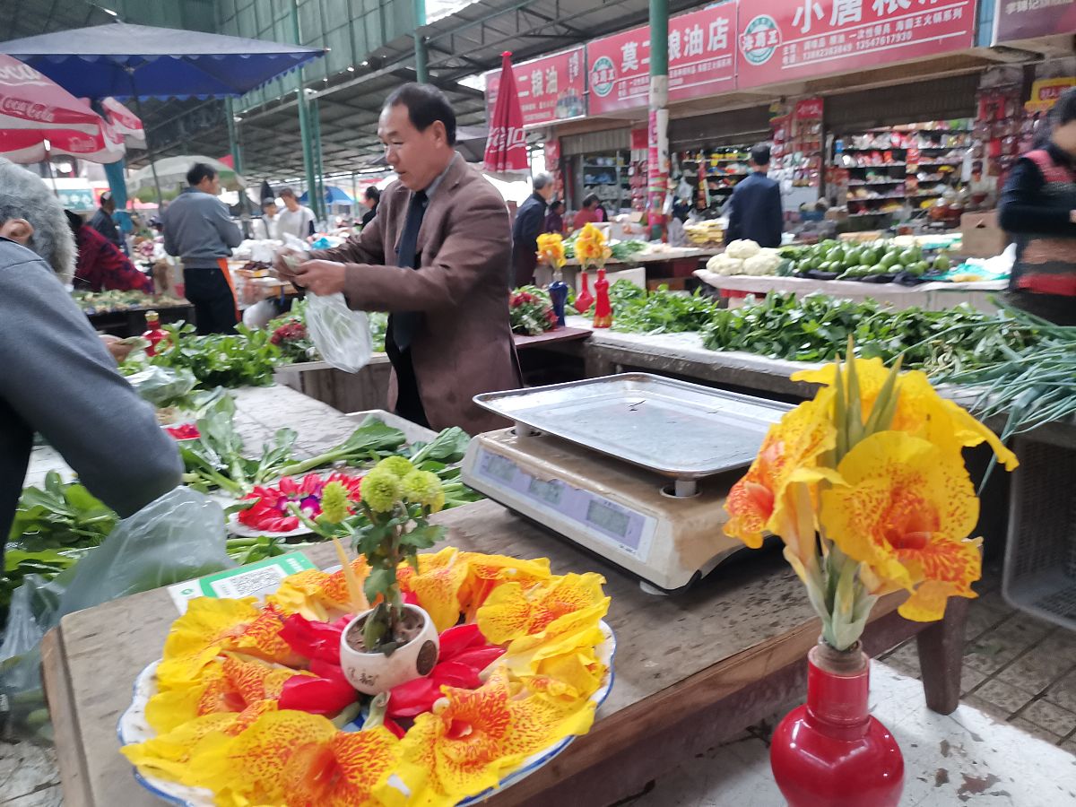 扮演一名文化领域博主写篇1000字农村俗语菜不摆三筷不成五席不成六是什么意思？有啥说法吗？的文章