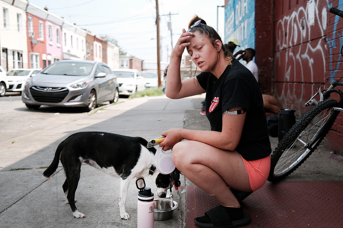 植物作文300字：地球生命的基石