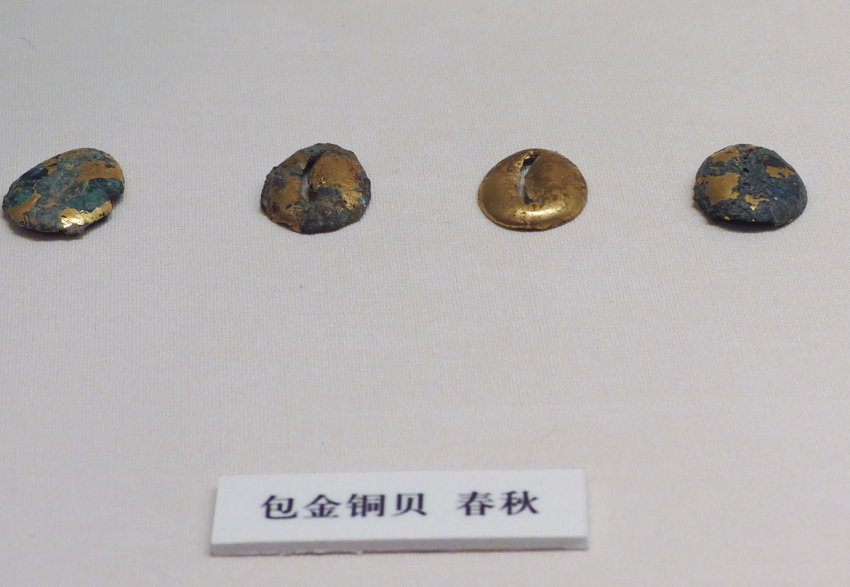 怎么原始金钱基类
