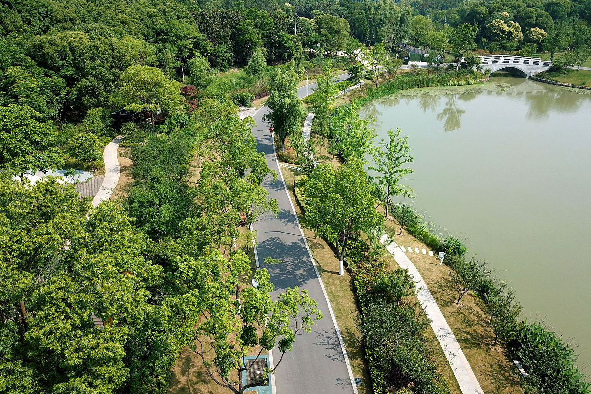 漫步绿色走廊，探秘东湖绿道碳中和价值